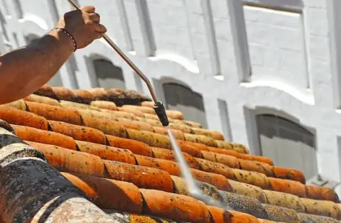 Nettoyage de toitures - Sormonne